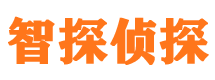 蒸湘寻人公司